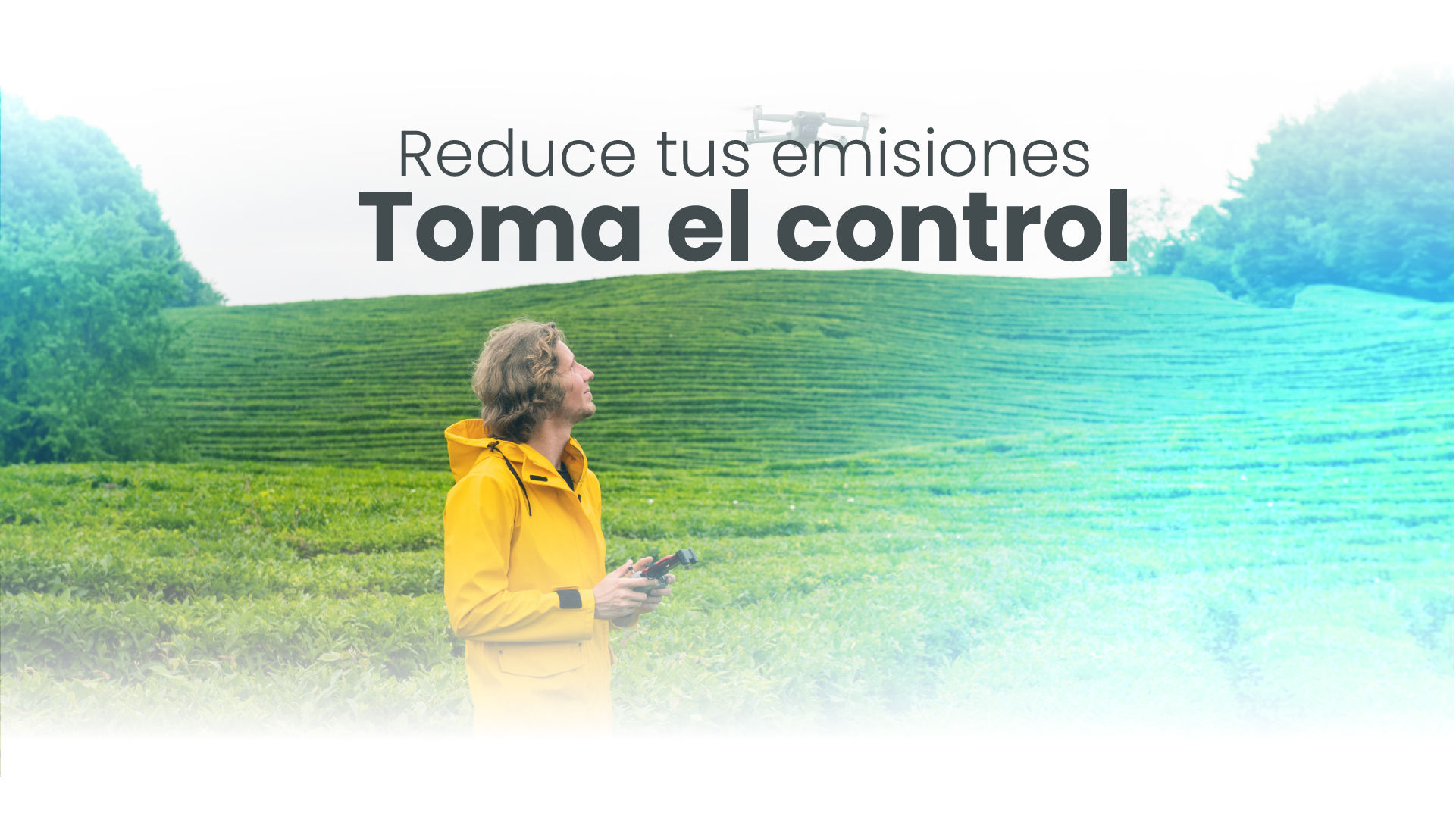 Carbon offsets banner