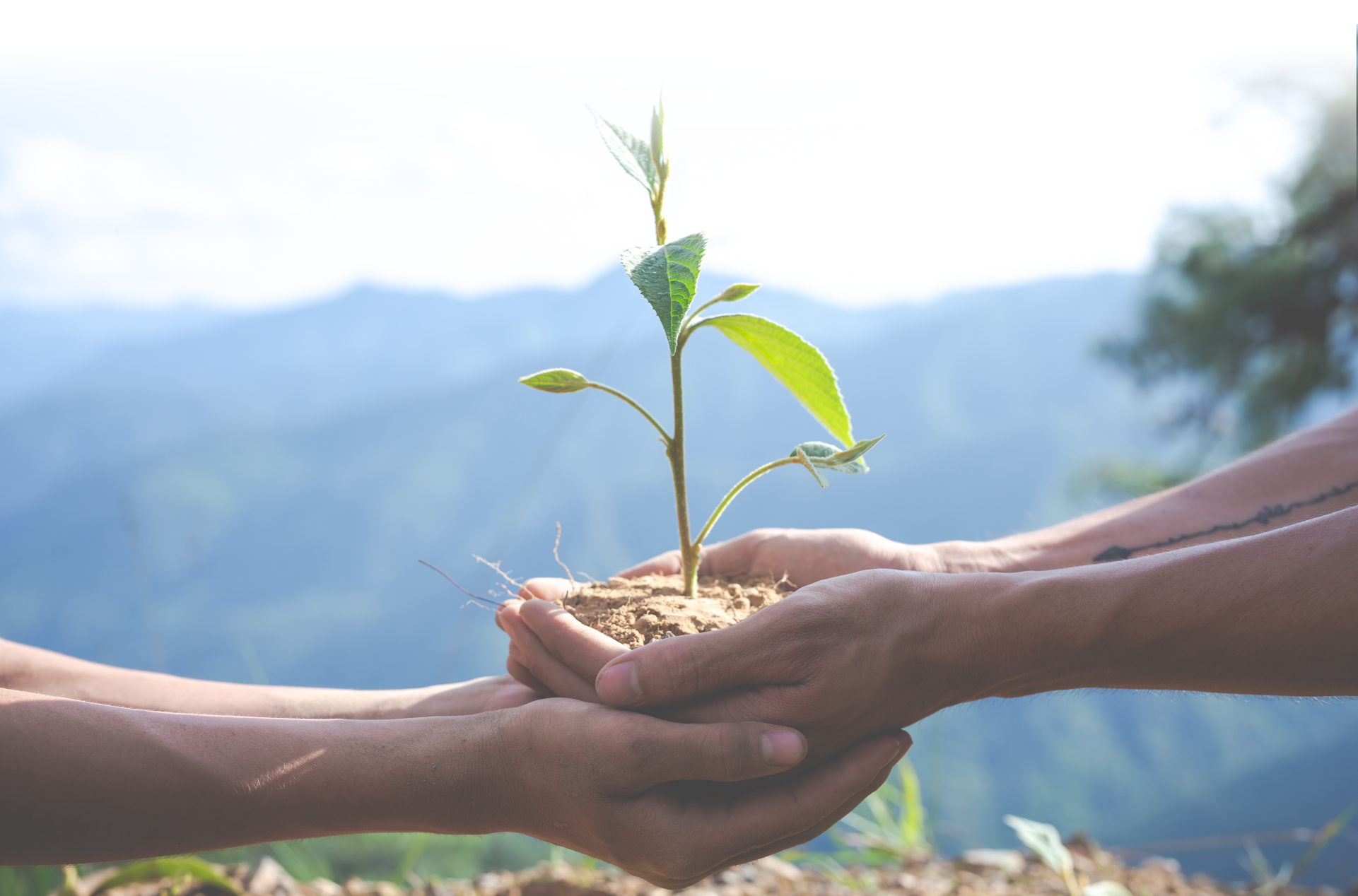 Preserving the earth image